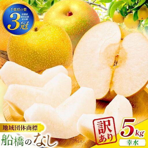 [2026年産]訳あり 船橋のなし「幸水」(い志い農園)