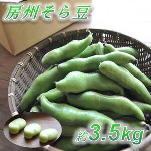 [数量限定]安心安全なサヤ付き房州そらまめ 約3.5kg (4月下旬頃〜5月下旬頃発送予定)[配送不可地域:離島・北海道・沖縄県・東北・中国・四国・九州]
