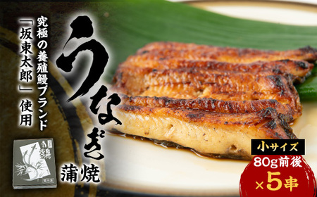 天然 に近づけた究極の養殖 鰻「坂東太郎 使用」 うなぎ 蒲焼 小サイズ 80g前後×5串【配送不可地域：離島】【1488907】