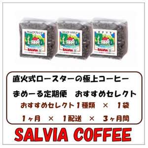 【毎月定期便】まめーる店主おすすめセレクト200g【豆】全3回【4053616】