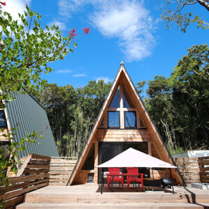 yh3000~N[|z DOG DEPT RESORT  َR/[l ʃ`Pbg_ DOG DEPT RESORT  َR [l ӂ邳Ɣ[ Mtg N[| h lC   v[g_y1605627z