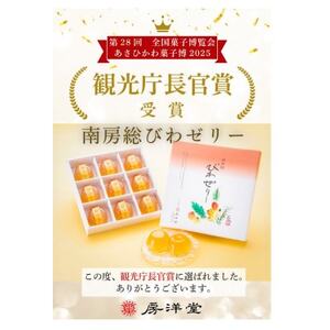 [祝・全国菓子大博覧会2025/観光庁長官賞受賞]南房総びわゼリー15個入