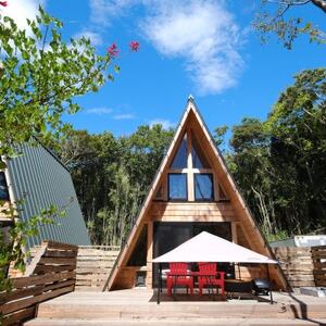 yh6000~N[|z DOG DEPT RESORT َR/[l ʃ`Pbgy1645888z