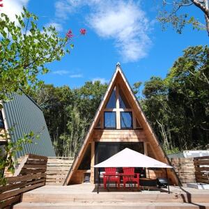 yh9000~N[|z DOG DEPT RESORT َR/[l ʃ`Pbgy1645902z
