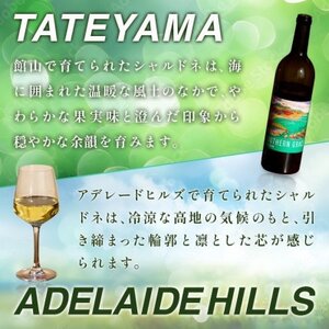 マシューズワイン サザングレイス 白(シャルドネ) 750ml[配送不可地域:離島]