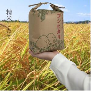 館山市九重産コシヒカリ 5kg 精米