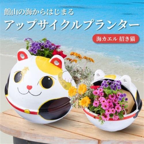 アップサイクルプランター 海カエル招き猫(1個)