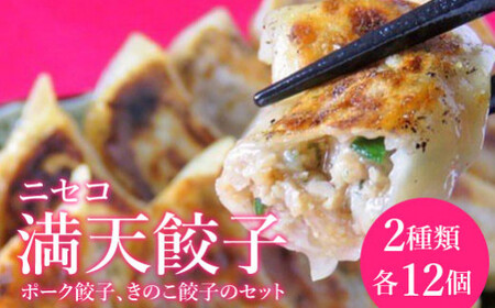 ニセコ満天餃子 ポーク餃子 きのこ餃子のセット[09138]