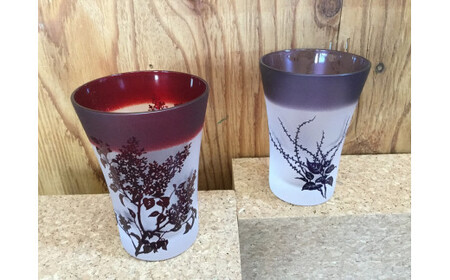 [ギフトラッピング可]がらすギャラリー童夢 タンブラー2個セット[11109]