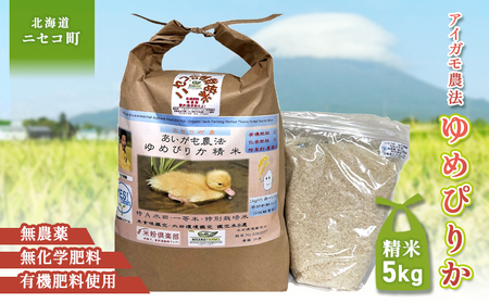 sʌstIߘa7NYāt_@߂҂肩 yĎdlāzyL@엿/_Ew엿~pzߘa7Nx 5kg(1kg×5) cӒEĐHӒmӒāyYesc