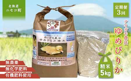 sʌstIߘa7NYāty3ցz_@߂҂肩 yĎdlāzyL@엿/_Ew엿~pzߘa7Nx 5kg(1kg×5) cӒEĐHӒ