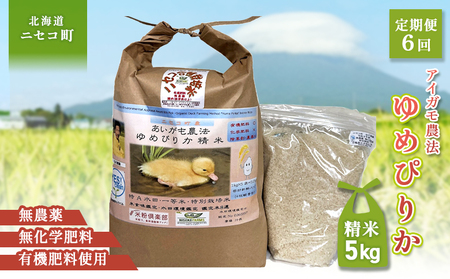 sʌstIߘa7NYāty6ցz_@߂҂肩 yĎdlāzyL@엿/_Ew엿~pzߘa7Nx 5kg(1kg×5) cӒEĐHӒ
