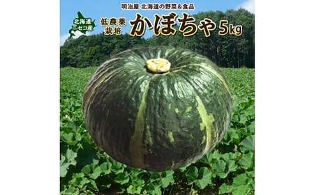 [早期予約・数量限定]北海道ニセコ町 かぼちゃ5kg[2026年産]