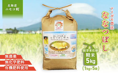 sʌstIߘa7NYāt_@ȂȂڂ yĎdlāzyL@엿/_Ew엿~pzߘa7Nx 5kg(1kg×5) cӒEĐHӒmӒāyYesc
