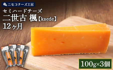 [ニセコチーズ工房]セミハードチーズ 二世古 椛[momiji]12ヶ月 100g×3個[43011]