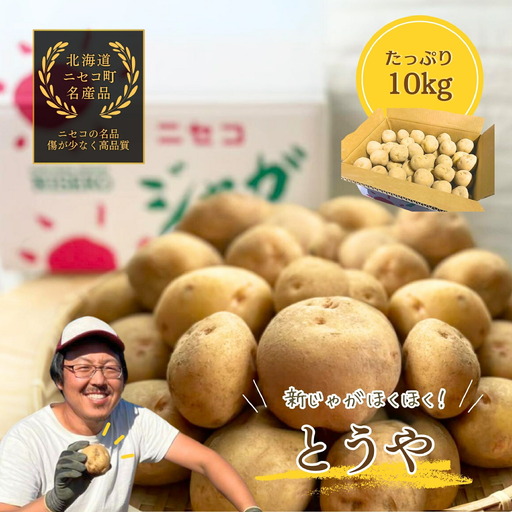 [2026年分受付中]なめらかな舌触りに感動!北海道ニセコ名産「とうや」新じゃが10kg/高橋農園