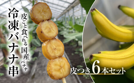  【2025年2月より発送開始】冷凍バナナ串　皮つき６本セット / ふるさと納税 バナナ 希少 レア 贈答 プレゼント 健康 栄養 千葉県 木更津 送料無料 KAF003