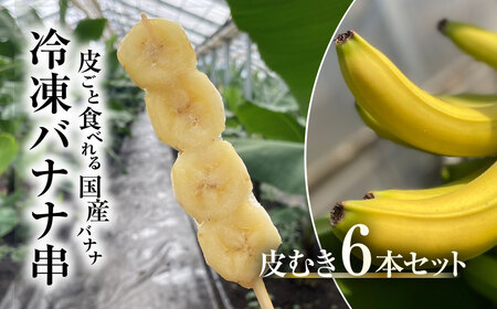  【2025年2月より発送開始】冷凍バナナ串　皮むき６本セット / ふるさと納税 バナナ 希少 レア 贈答 プレゼント 健康 栄養 千葉県 木更津 送料無料 KAF004