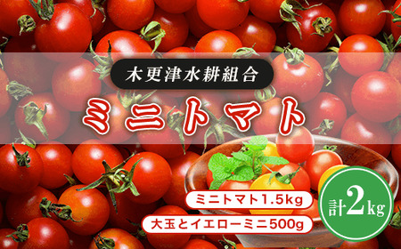 ミニトマト1.5kg 大玉とイエローミニ500g 計2kg[木更津水耕組合]