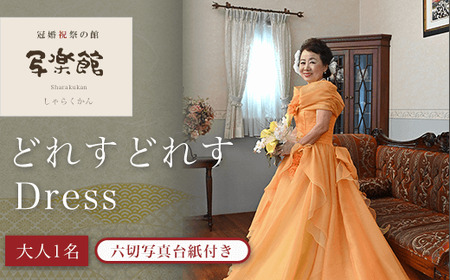 どれすどれすDress(大人1名)六切写真台紙付き