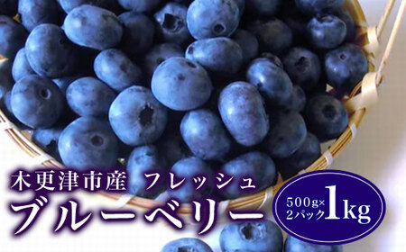 木更津市産フレッシュ ブルーベリー 1kg(500g×2パック)