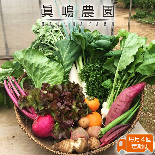 [毎月定期便4回]季節のおまかせ野菜セット