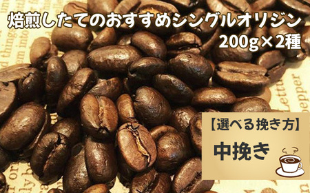 焙煎したてのおすすめシングルオリジン 200g×2種(中挽き) No.170-03