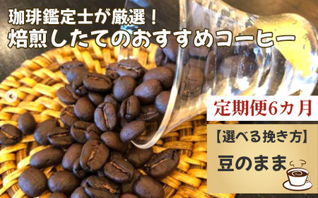 No.178-01 [毎月定期便6回]珈琲鑑定士が厳選!焙煎したてのおすすめコーヒー(豆)