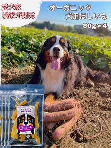犬用オーガニックほしいも 80g×4 No.333