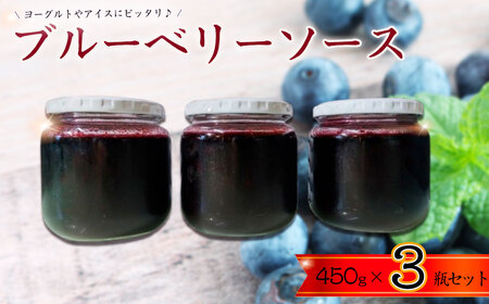 ブルーベリーソース3瓶セット / ブルーベリー 砂糖 レモン果汁 シンプル ヨーグルト アイス お菓子 パン おやつ 千葉県
