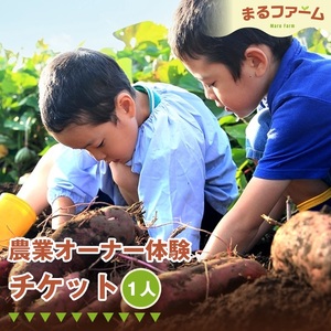 農業オーナー体験(1人分) / 農業体験 農業オーナー 畑体験 作物栽培 収穫体験 体験チケット 地域交流 農作業体験 季節野菜 自然体験 学び体験 家族 ファミリー 千葉県