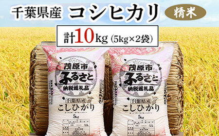 ߘa7NY tYRVqJ  10kg(5kg×2) MBAD001