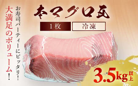 本マグロ 瓦1枚 3.5kg以上