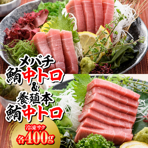 メバチ鮪中トロ400g+養殖本鮪中トロ400g