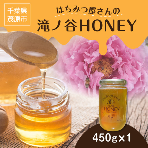 はちみつ屋さんの滝ノ谷HONEY 450g×1  MBAW003