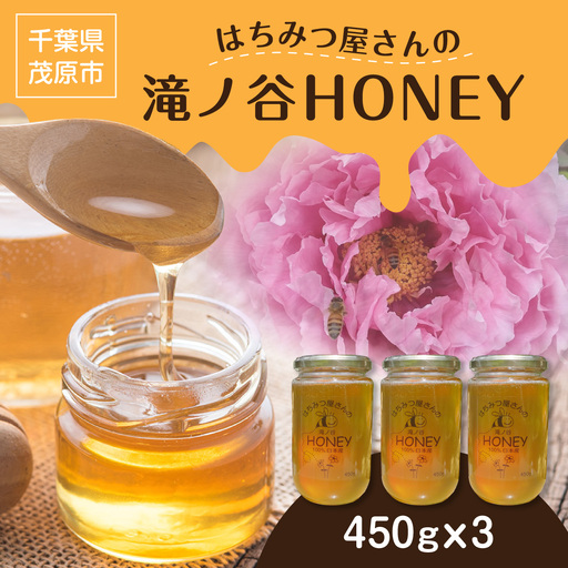 はちみつ屋さんの滝ノ谷HONEY 450g×3  MBAW004