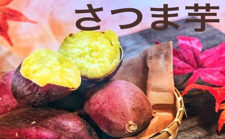 さつまいも(シルクスイート) 野菜 お芋 芋 食材 焼き芋 天ぷら 国産 日本産