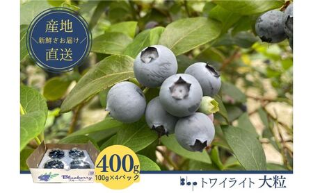 [栽培期間中農薬不使用]フレッシュブルーベリー(トワイライト大粒 100g×4)