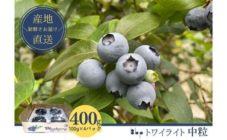 [栽培期間中農薬不使用]フレッシュブルーベリー (トワイライト中粒100g×4)
