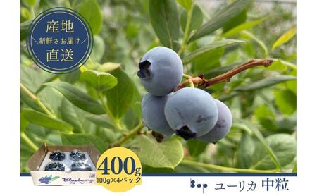 [栽培期間中農薬不使用]フレッシュブルーベリー (ユーリカ中粒100g×4)