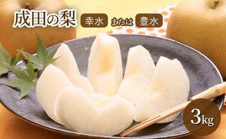 梨 [日時指定不可] 梨(幸水または豊水)3kg フルーツ 果物 なし 先行予約 特産品 旬のフルーツ 千葉県 成田市