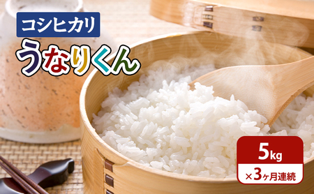 [令和6年度産]3ヶ月連続お届け「コシヒカリ」うなりくん5kg 白米 精米 米 こしひかり 成田市 千葉県