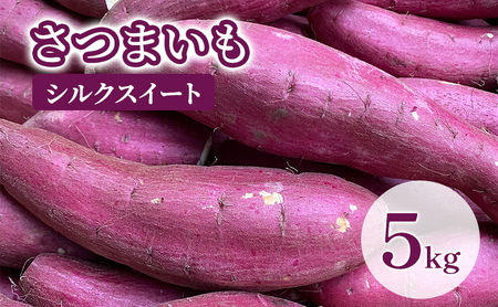 [訳あり]さつまいも5kg(シルクスイート) サツマイモ 薩摩芋 焼き芋 やきいも ヤキイモ 天ぷら 大学いも おやつ スイーツ スイートポテト 農家 産地直送 成田市 千葉県