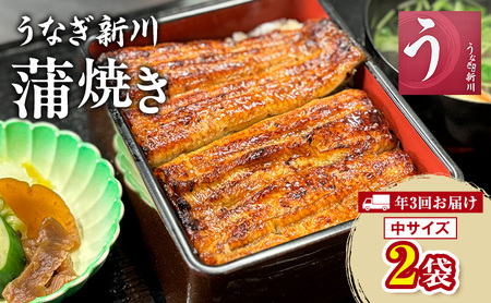 [年3回お届け]定期便 うなぎ新川 蒲焼き(中サイズ)2袋入り 鰻 うなぎ蒲焼 蒲焼 タレ付き うな重 冷凍 成田市 千葉県
