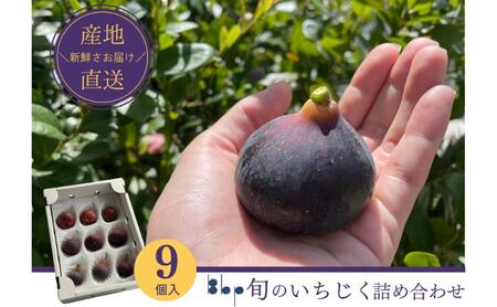 旬のいちじく詰め合わせ 9個入り 果物 フルーツ 国産フルーツ イチジク ビオレドーフィン ビオレソリエス 産地直送 詰合せ 食べ比べ 千葉県 成田市