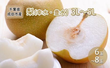 梨 幸水 豊水 3L〜5L 6玉〜8玉 なし ナシ 和梨 果物 くだもの フルーツ 旬のフルーツ 旬の果物 デザート 千葉 千葉県 成田市