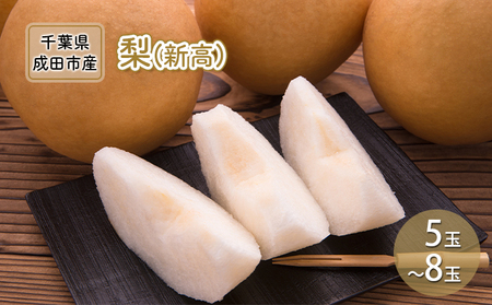 梨 先行予約 新高 5〜8玉 なし ナシ 和梨 果物 くだもの フルーツ 旬のフルーツ 旬の果物 デザート 千葉 千葉県 成田市