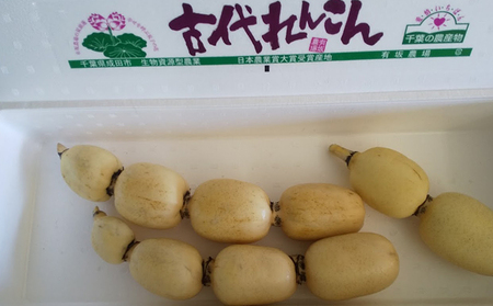  gÑ񂱂h 2kg   R 2kg