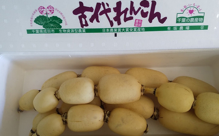  gÑ񂱂h 4kg   R 4kg