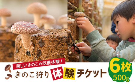 ̂̌`Pbg×6(500g)_sE`Pbg  ̌`Pbg _y1288606z